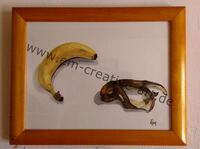 Nr. 2 Banane 36 x 47 cm